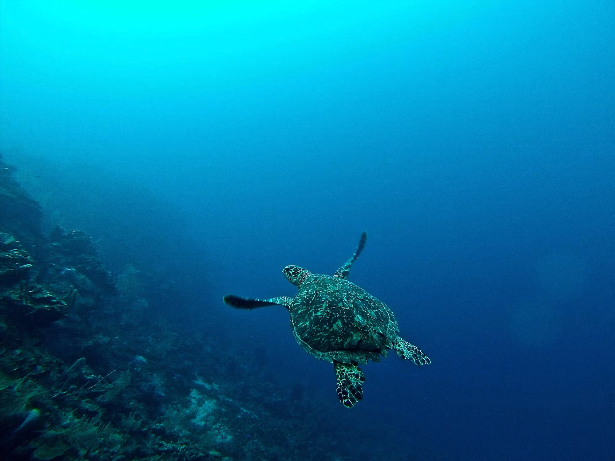 Exploring Coastal Wonders: A Journey Through the World’s Most Enchanting Beach Destinations